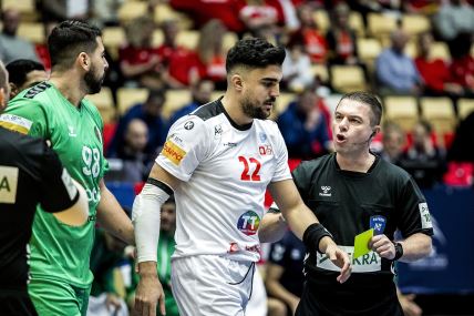 Slave Nikolov sudija priča s igračima Alžira.