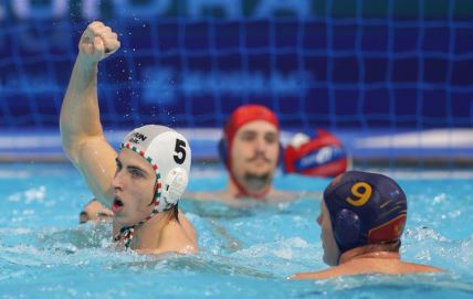 Meč Mađarske i Crne Gore na Evropskom prvenstvu.