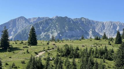 Milorad Dakić poklanja imanje na Durmitoru.jpg