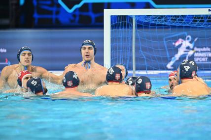 Srbija - Francuska (12).jpg