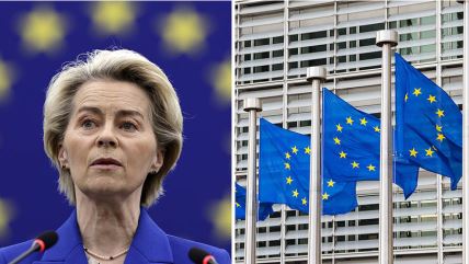 KomboBox-2Slike16x9 copy.jpg