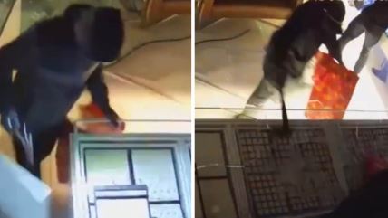 KomboBox-2Slike16x9 copy.jpg