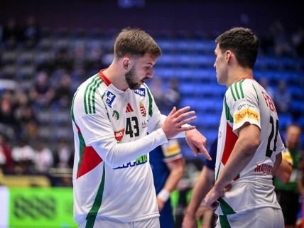 Zoran Ilić reprezentativac Mađarske objašnjava saigraču na utakmici