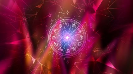 shutterstock_2714571011 copy.jpg