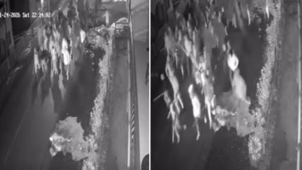 Napad Torcide na navijače Zvezde