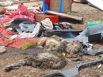 17694305251745403735OTPAD-RINA copy.jpg