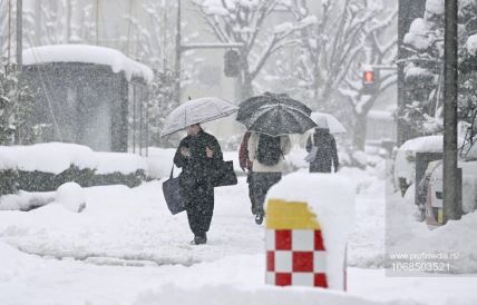 Sneg u Japanu (8).jpg