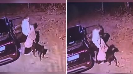 COMBO BOX 2 SLIKE.jpg