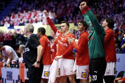 Danska-Švedska (6).jpg