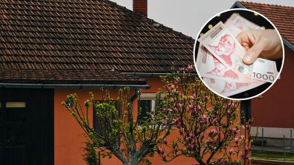 Dodela subvencija.jpg