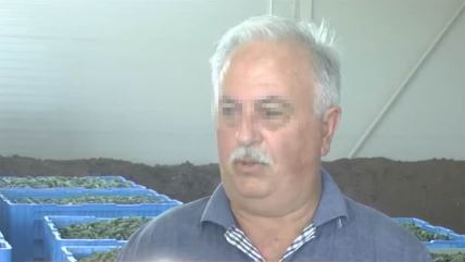 Rade Spasojević, Konjuh, Kruševac, droga, marihuana