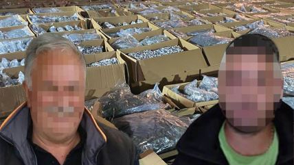 Rade Spasojević, Nebojša Spasojević,  Konjuh, droga, Florakom, Kruševac