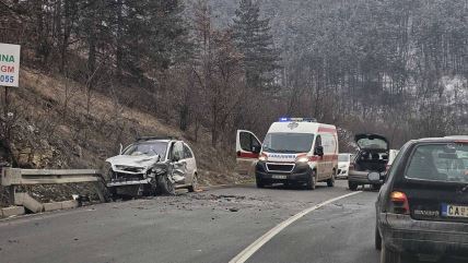 1770103750Despotovica-udes-dva-vozila-fotorina copy.jpg