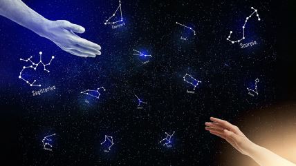 shutterstock_2182255019 copy.jpg