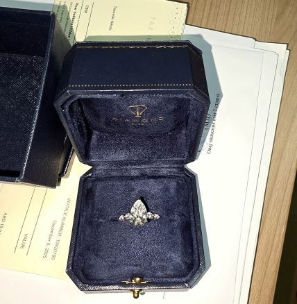 Dijamantski prsten u koferu (1).jpg