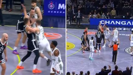 Partizan Panatinaikos