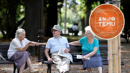 Penzionera porudžbina s Temu-a skupo koštala