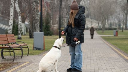 Žena daje granulu psu u parku