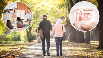 Porodična penzija.jpg