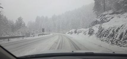 sneg na Zlatiboru 1.jpg