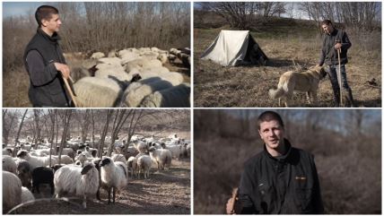 Miloš Škorić nomadski pastir (1).jpg