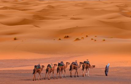 Sahara.jpg
