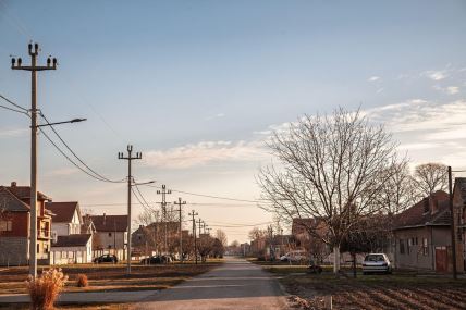 profimedia-1021344847 copy.jpg