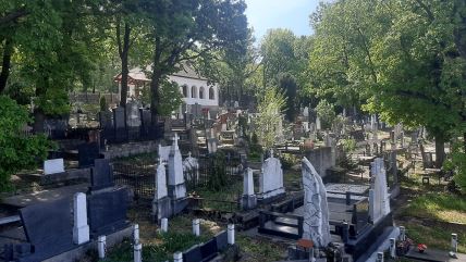 1771615169IMG_7671 copy.jpg