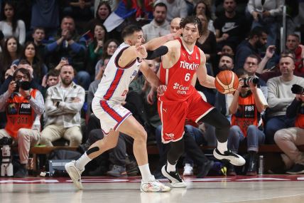 Srbija - Turska (7).jpg