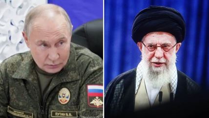 Vladimir Putin, Ali Hamnei