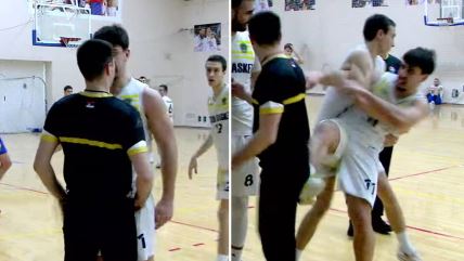 Žitko basket - Zemun