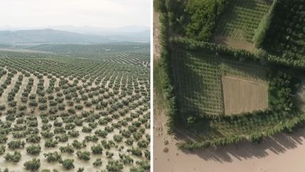 Pustinja Taklamakan (1).jpg