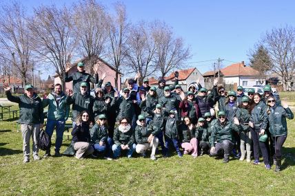 Projekat Zasadi drvo