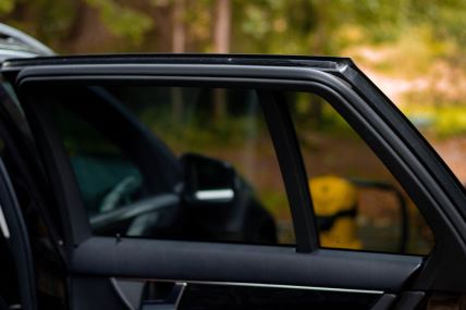 Zatamljena stakla (3).jpg