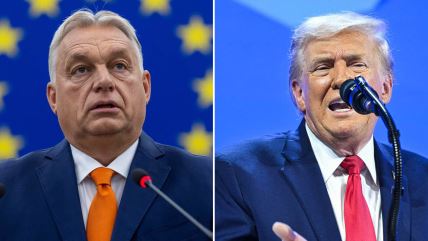 Donald Trump Viktor Orban