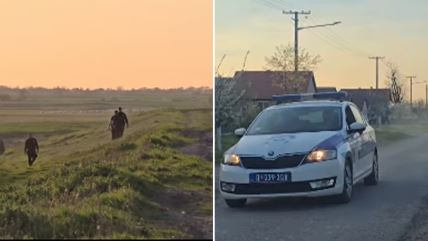 Policijska potraga u Novom Sadu