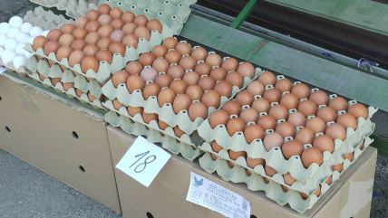 Domaća jaja ove godine se razgrabila na čačanskoj pijaci