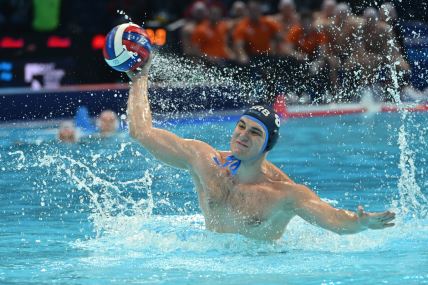 Nikola Jakšić na utakmici protiv Holandije u Beogradskoj areni