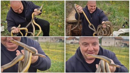 Vladica Stanković izvukao šest smukova iz šahte