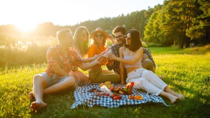 piknik, društvo, putovanje
