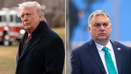 Donald Tramp o izbornom porazu Viktora Orbana