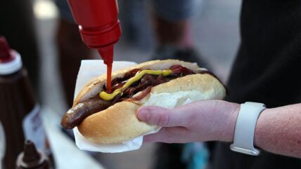 hot dog, viršla, kečap, sendvič