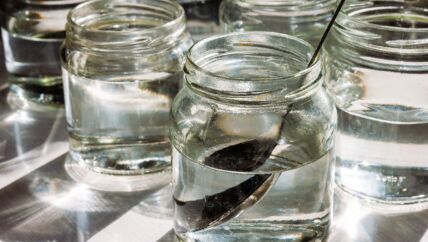 da li vodu treba mesati kasicom.jpg