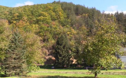 Sijarinska banja (1).jpg