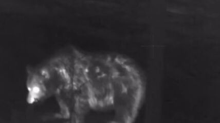 Screenshot 2026-04-25 105403.png