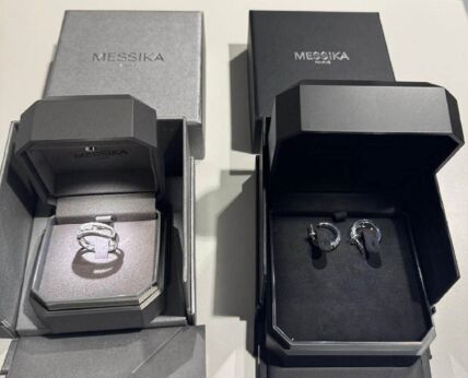 Zaplena na Preševu i na aerodromu Nikola Tesla (4).jpg