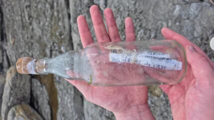 Boca sa porukom na plaži