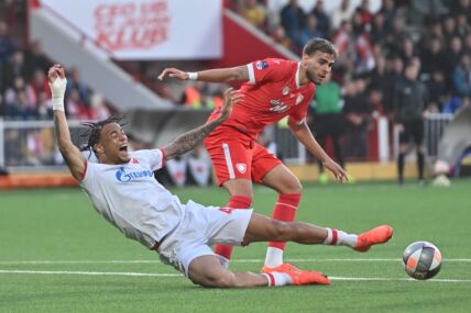 DEtalj sa meča Jedinstvo Ub - Crvena zvezda u Kupu Srbije.