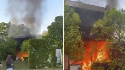 Požar na Adi Ciganliji copy.jpg