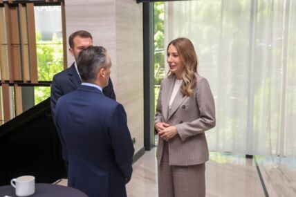 Dubravka Đedović Handanović na Pupin forumu
